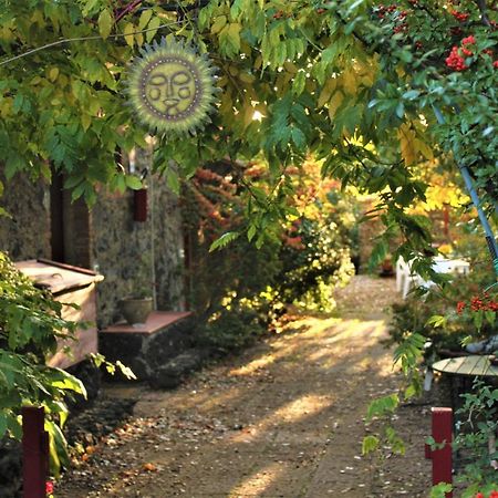 Cirasellaetna Villa Sant'Alfio Ngoại thất bức ảnh