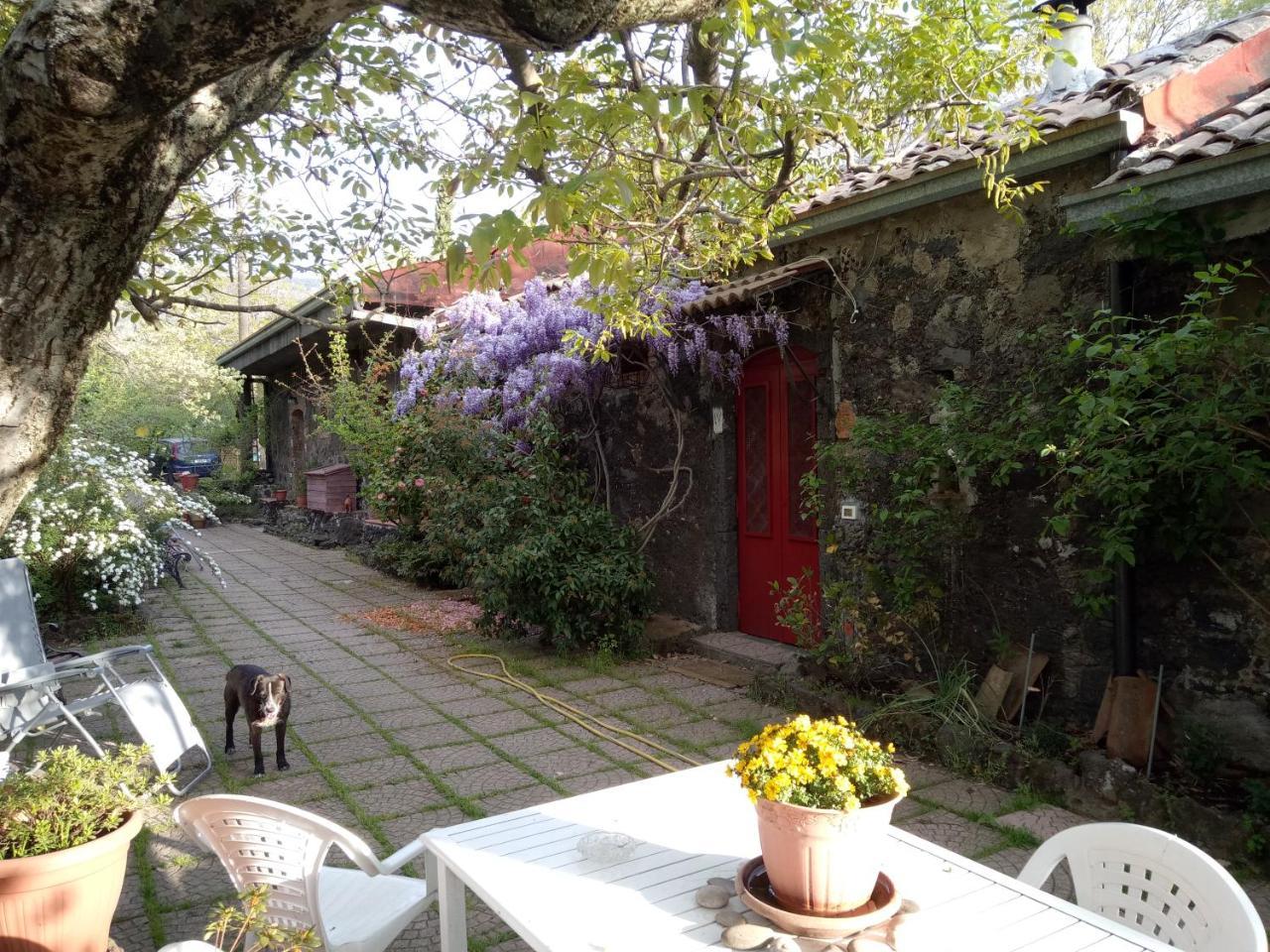 Cirasellaetna Villa Sant'Alfio Ngoại thất bức ảnh